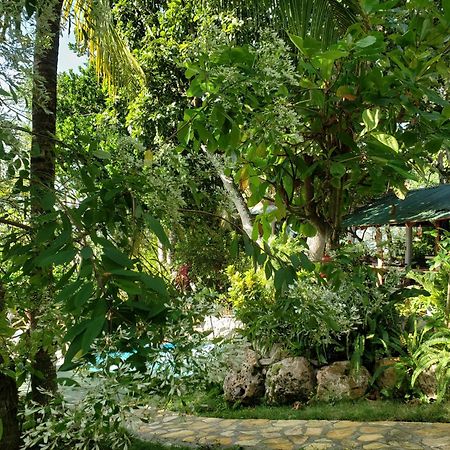 Zapote Tree Inn 弗洛勒斯 外观 照片