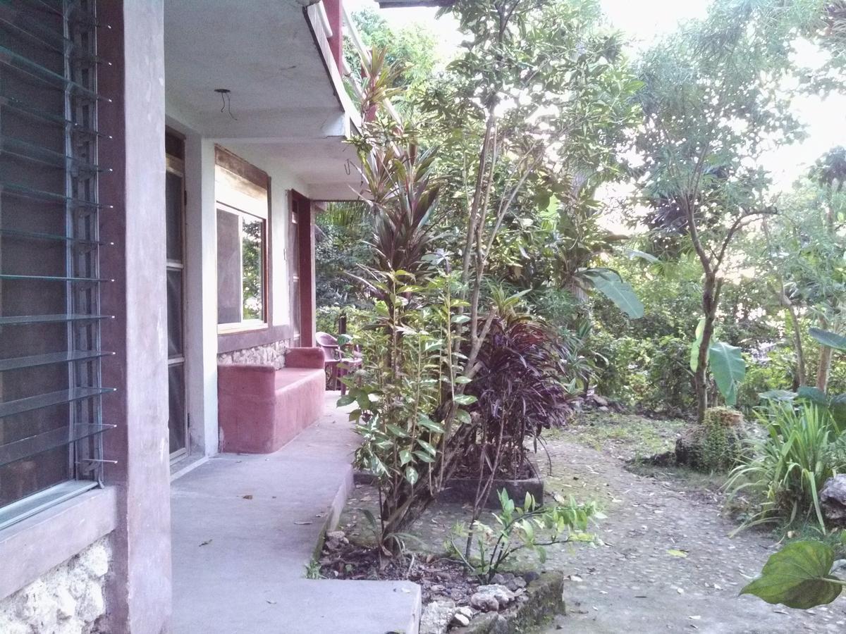 Zapote Tree Inn 弗洛勒斯 外观 照片
