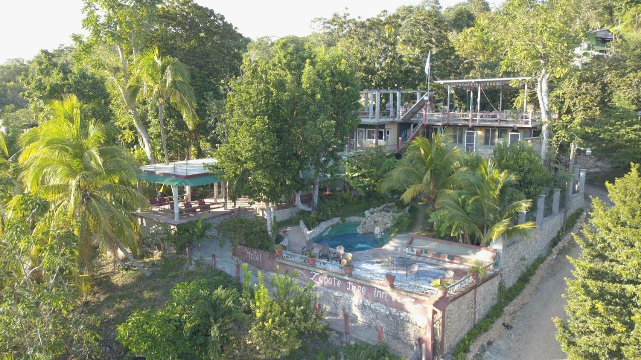 Zapote Tree Inn 弗洛勒斯 外观 照片